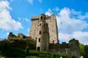 The stone keep of Blarney Castle above trees and green bushes under a blue sky