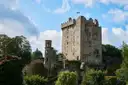 The stone keep of Blarney Castle above trees and gardens, under a blue sky
