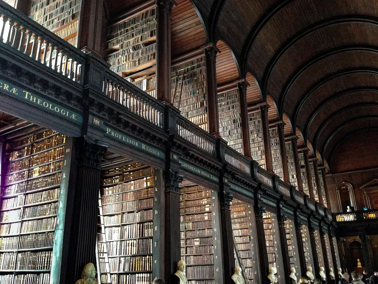 Tall shelves of old leather books and a carved gallery rail in the Long Room