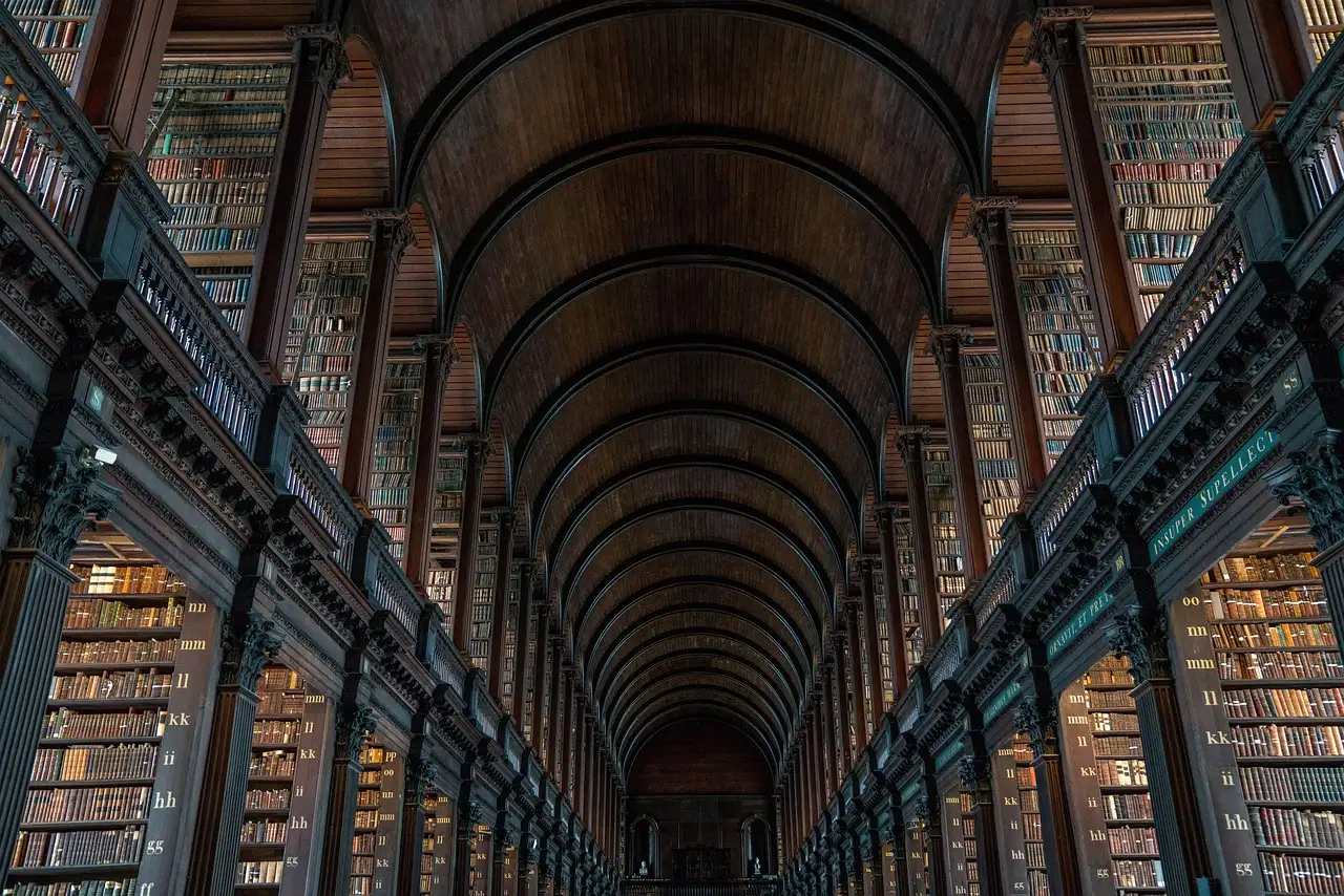The Long Room of Trinity College's Old Library, with its dark wooden barrel vault and tall shelves of old books