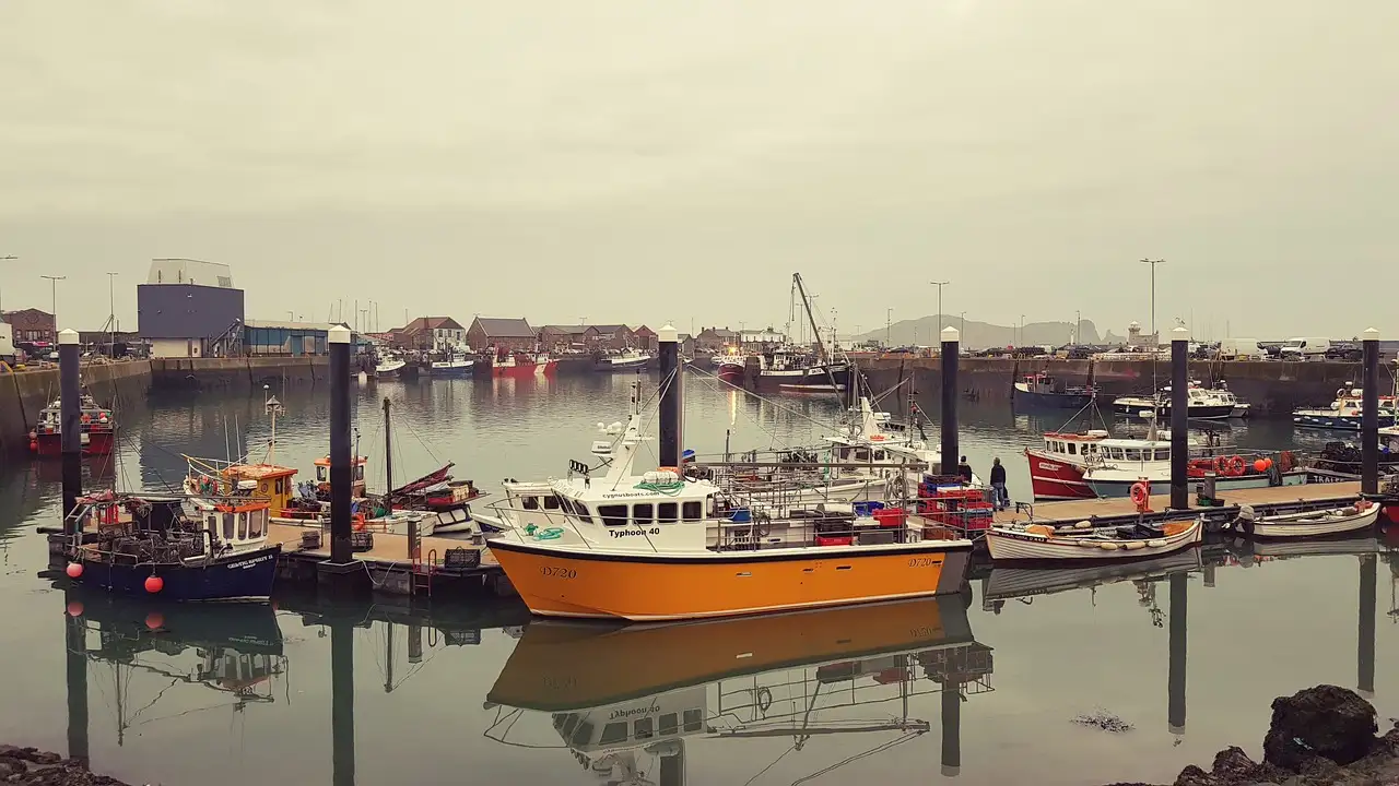 Fishing boats moored in Howth harbour, at the end of the DART line