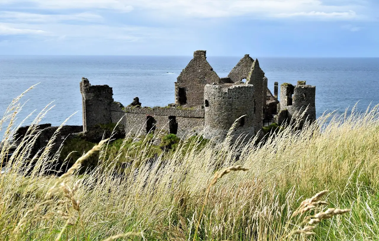 The ruins of Dunluce Castle on a cliff above the sea, with tall grass in front