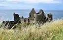 The ruins of Dunluce Castle on a cliff above the sea, with tall grass in front