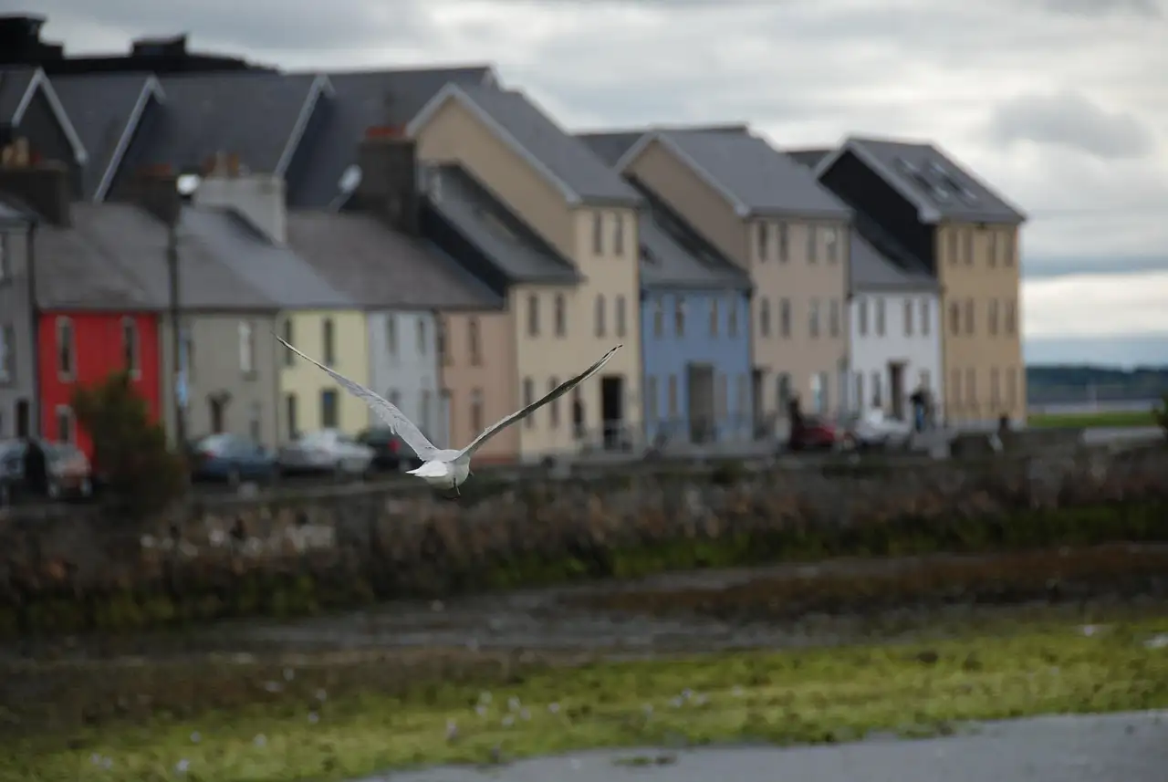 A row of coloured houses on the Long Walk by the water in Galway