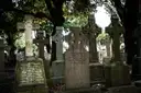 Old stone crosses and headstones in the shade of trees at Glasnevin Cemetery