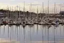 Sailing boats and their masts reflected in Howth marina