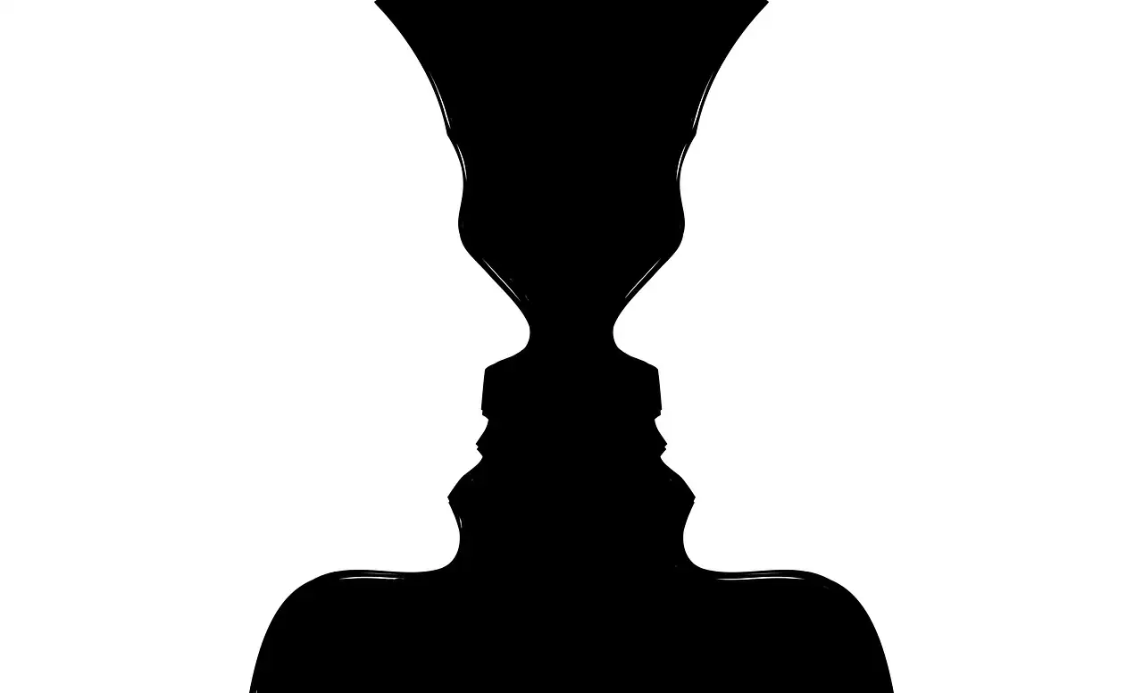 A black and white drawing that shows either a vase or two faces in profile