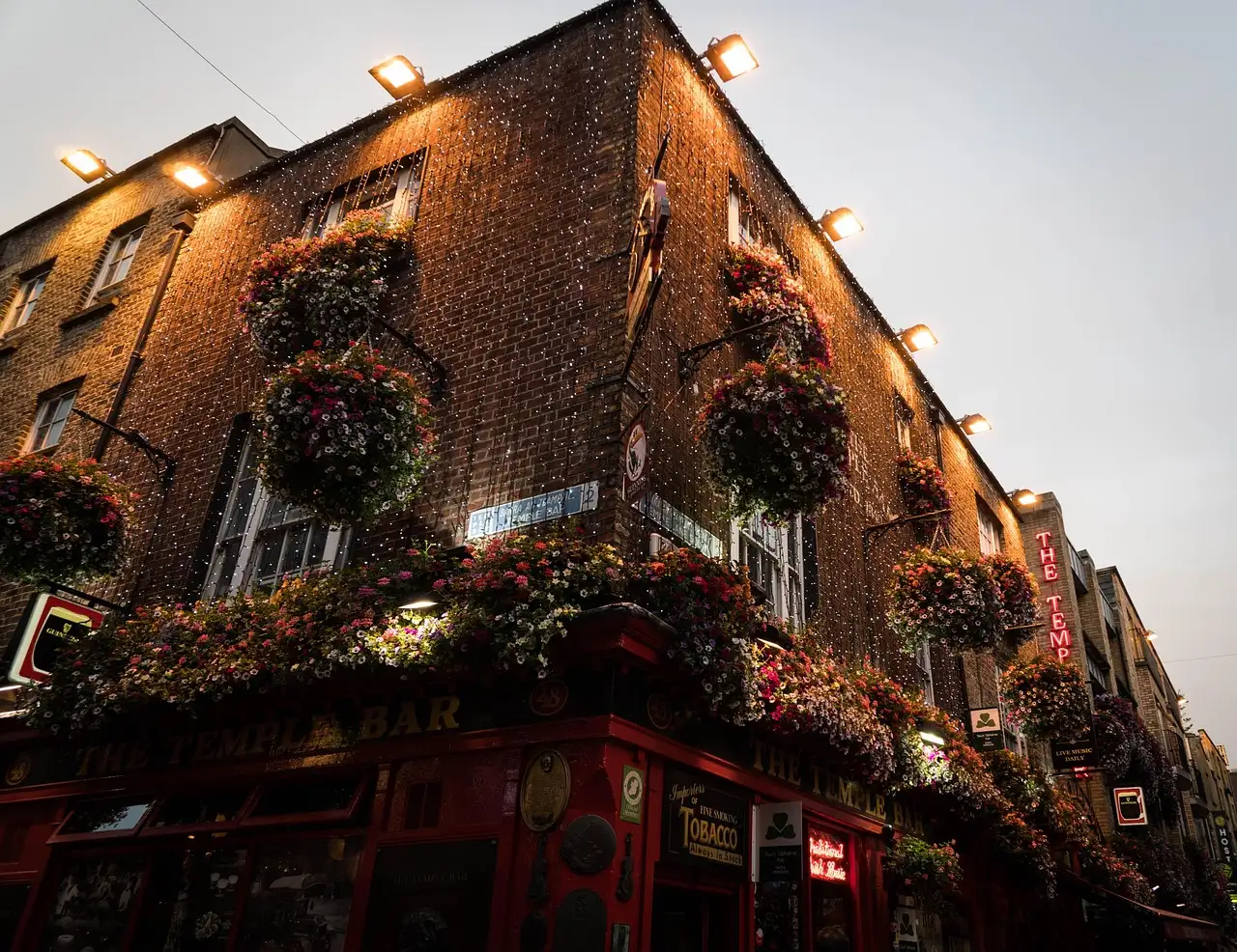 The upper floors of Temple Bar, hung with flower baskets and lit at dusk
