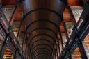 The Long Room library at Trinity College Dublin, with its dark wooden arched ceiling and tall bookcases