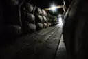 Rows of wooden whiskey barrels in a dark warehouse